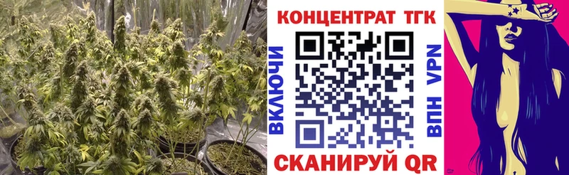 ТГК жижа Купить закладки Заозёрск