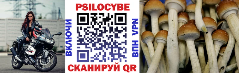 Купить  Заозёрск  Галлюциногенные грибы прущие грибы 
